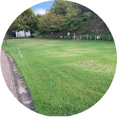 バーベキュー広場
