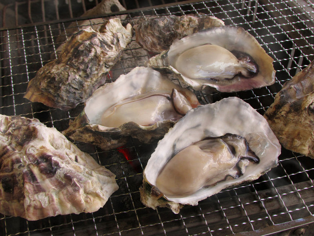 【大阪】かき小屋本舗の『市場を通さない仕入れ』に密着取材！新鮮牡蠣の秘密とは？