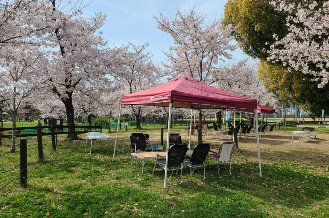 大阪で花見バーベキューができる公園13選！無料＆手ぶらBBQスポットを紹介！