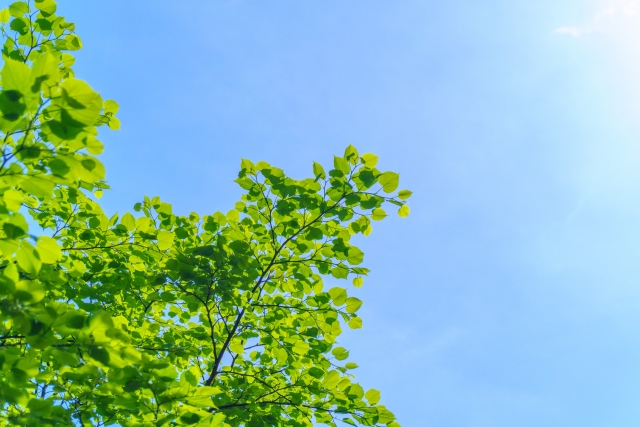 🌿GWのご予約はお早めに！🌿