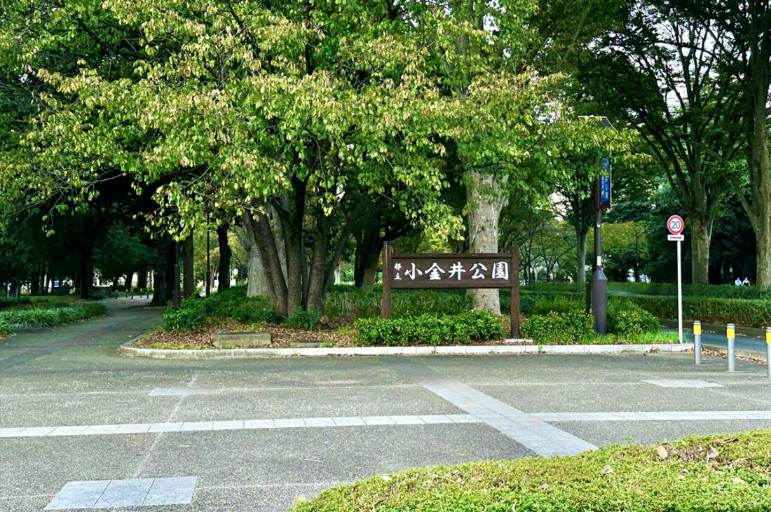 【無料予約制】小金井公園バーベキュー広場で手ぶら持ち込みBBQをしよう！