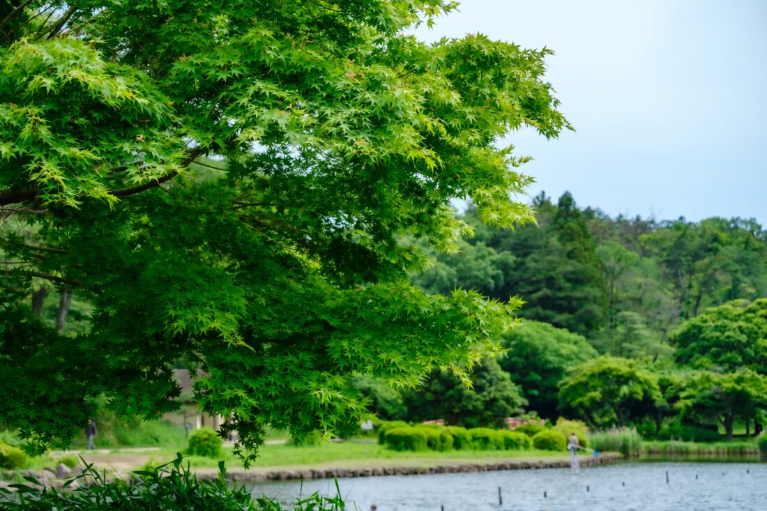 【横浜】こども自然公園バーベキュー広場！予約方法から料金・持ち物まで