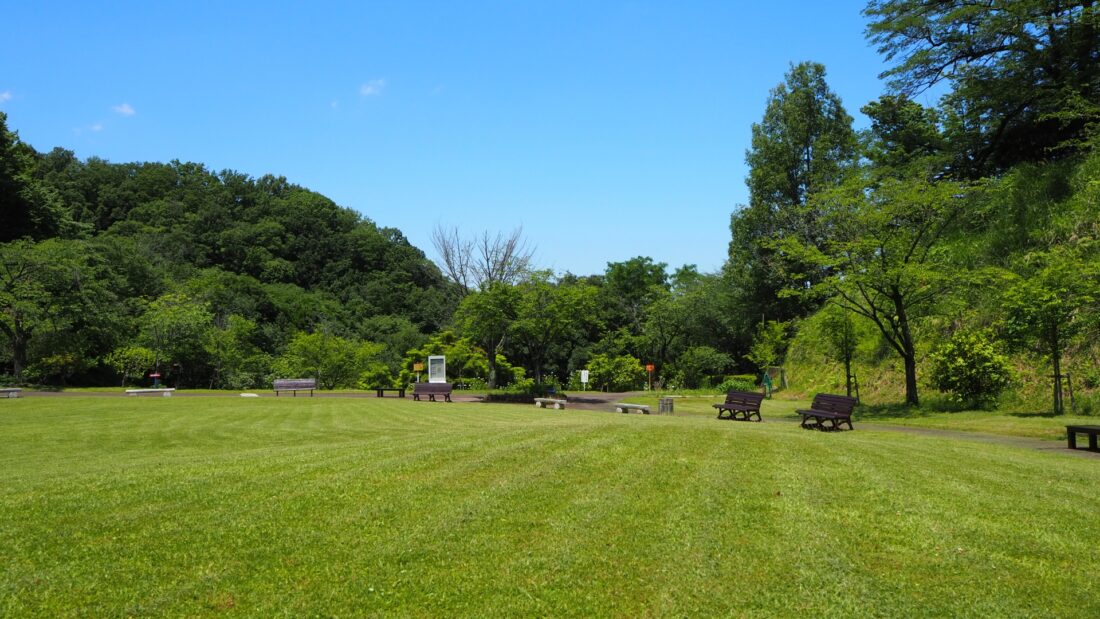 【厚木市】県立七沢森林公園バーベキュー完全ガイド！予約方法と料金は？