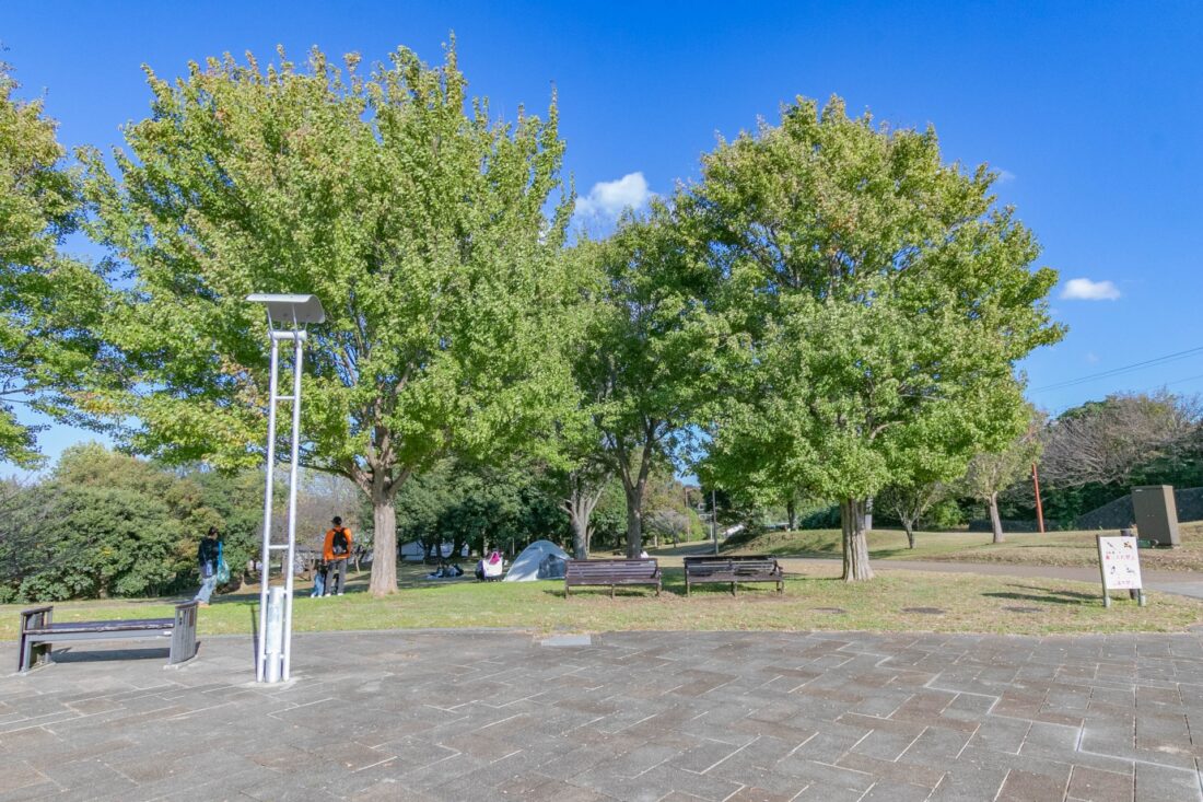 茅ヶ崎里山公園完全ガイド！イベント・遊具・駐車場・バーベキュー情報も