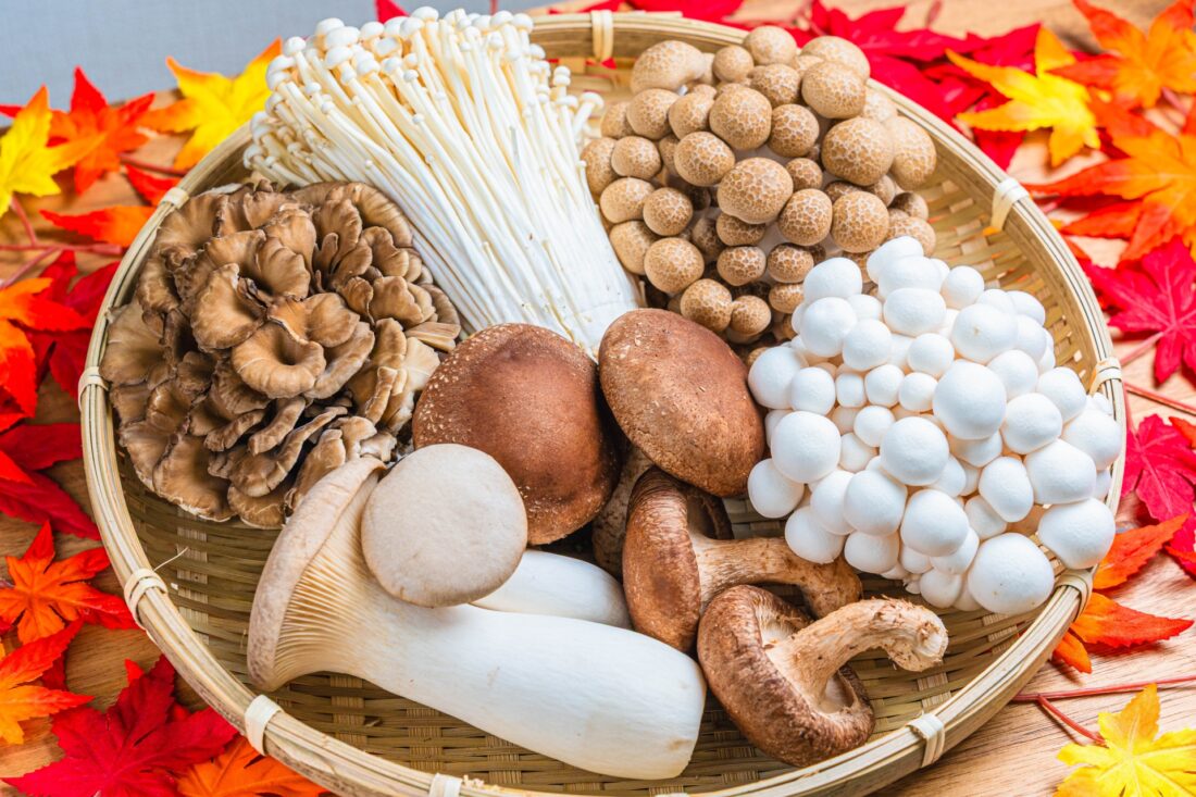 秋バーベキューにおすすめの食材は？秋の味覚を楽しもう！涼しい季節にBBQ